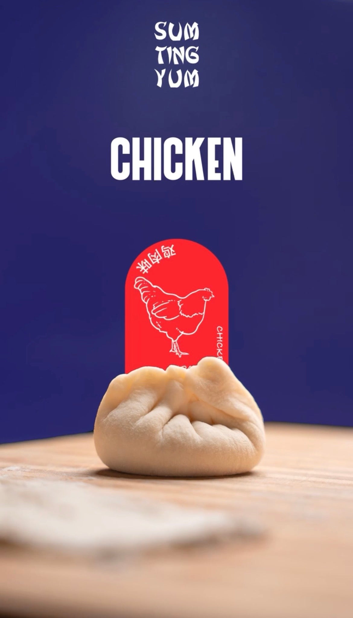 Chicken Dumplings – SUM TING YUM